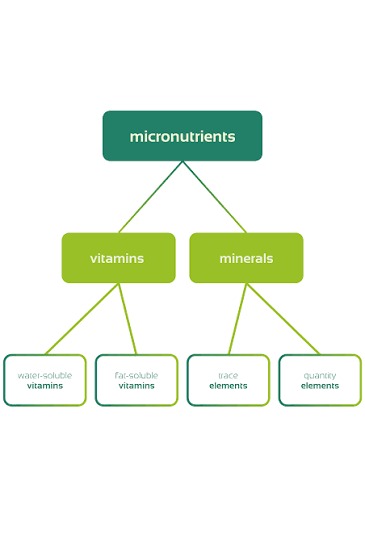 MICRONUTRIENTS IN ANIMAL NUTRITION: SMALL AMOUNTS, BIG IMPACT